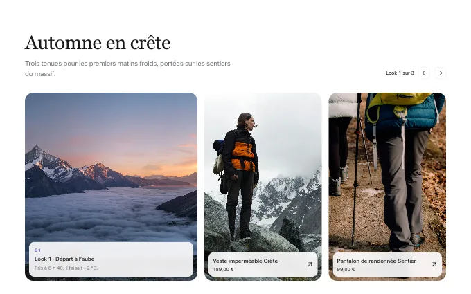 commerce.LookStory — look-carousel